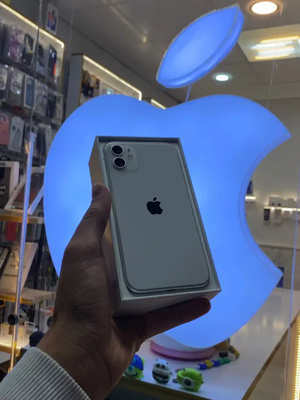 اپل iphone 11|موبایل|مشهد, وکیلآباد|دیوار