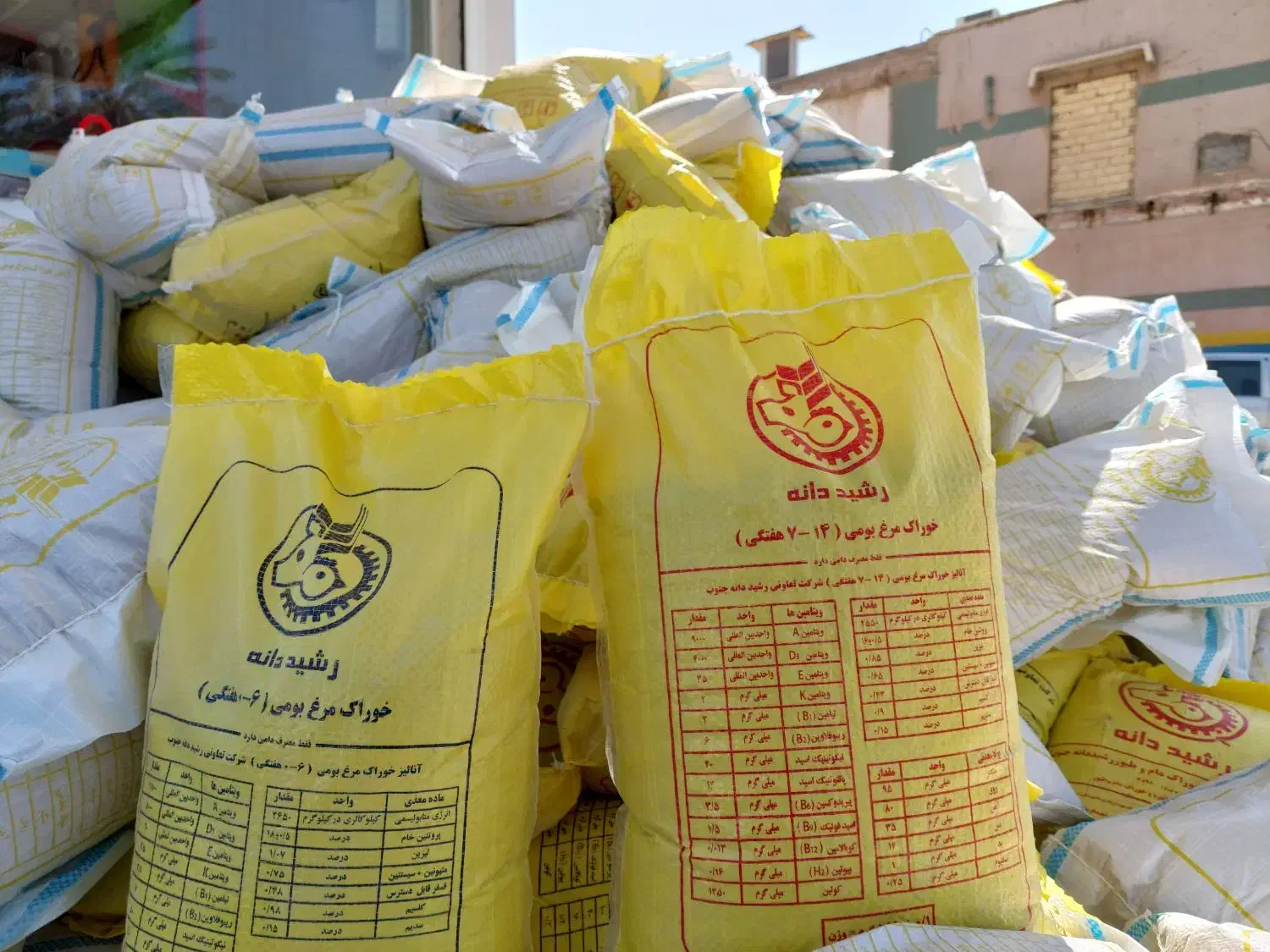 دان جوجه مرغ بلدرچین بوقلمون و غاز خانگی|حیوانات مزرعه|بهبهان, |دیوار