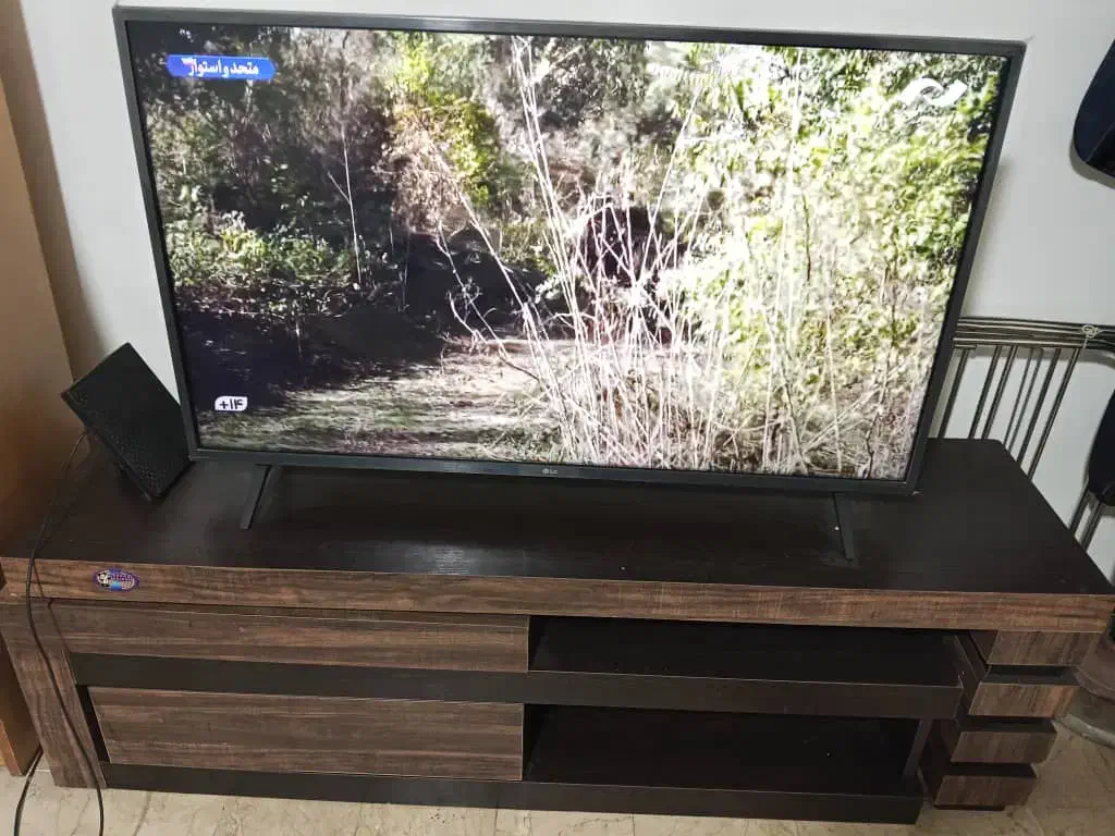 تلویزیون ۴۳ اینچ ال جی|تلویزیون و پروژکتور|کیش, |دیوار