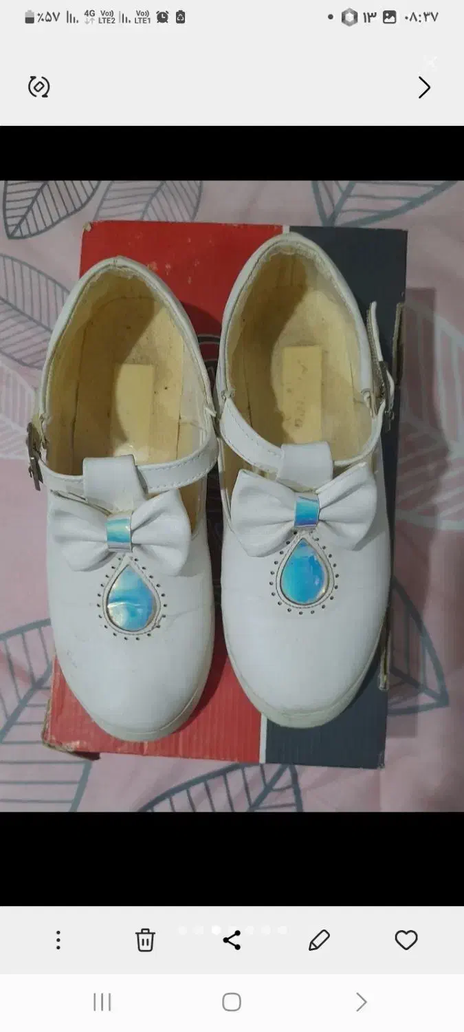 کیف وکفش نو|کیف، کفش، کمربند|کلاله, |دیوار