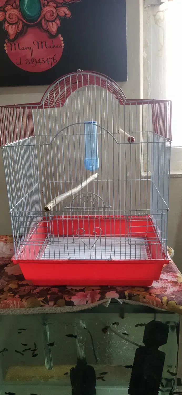 یک عدد قفس پرنده فوری|لوازم جانبی حیوانات|پاکدشت, پاکدشت (مامازند)|دیوار