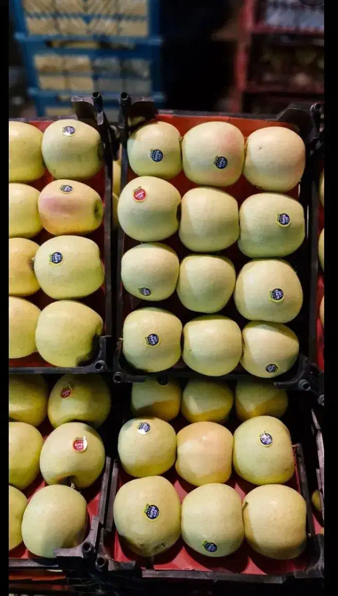 پخش میوه درجه یک مراسم تولد نامزدی عروسی ختم|خدمات پذیرایی، مراسم|فردیس, ثابتی|دیوار