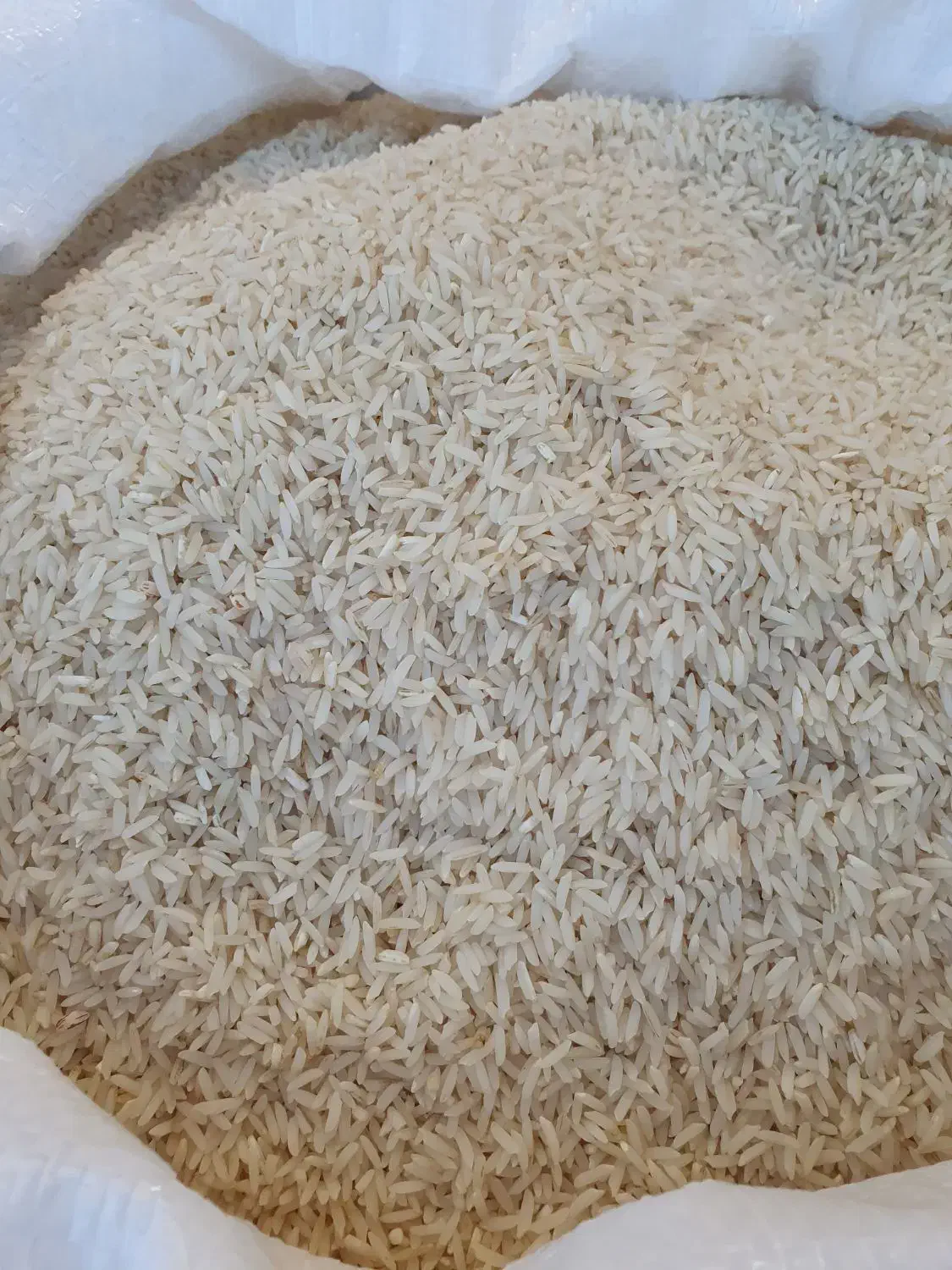 برنج هاشمی مغان و دره رود|خوردنی و آشامیدنی|اهر, |دیوار