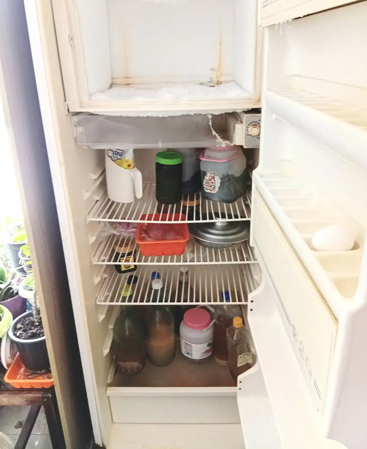 یخچال ساده ی مدل آزمایش|یخچال و فریزر|آستانه اشرفیه, |دیوار