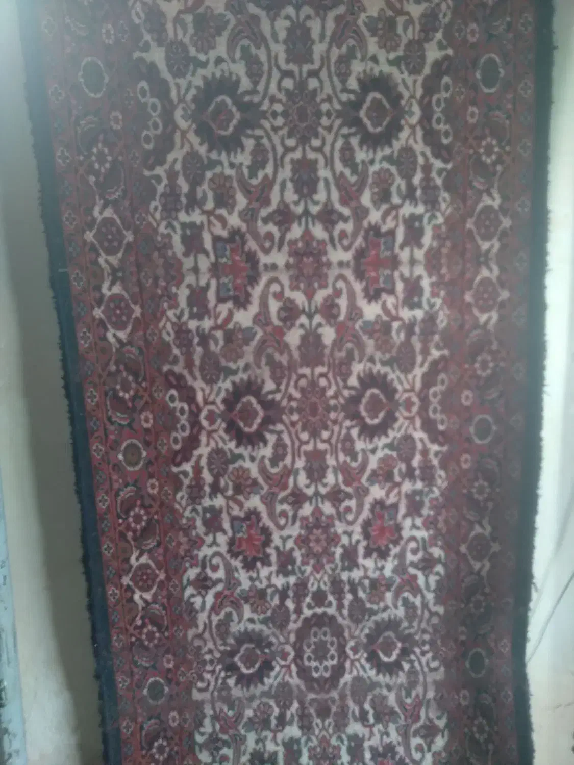 فرش دستباف کناره|فرش|زنجان, |دیوار