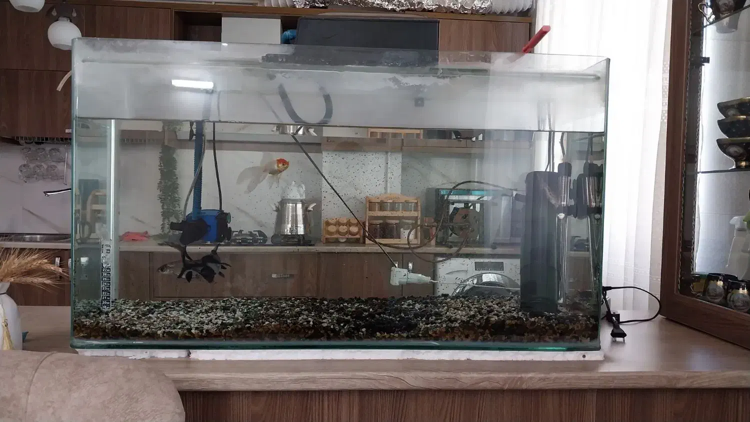 حراج وسایل منزل|حراج|قزوین, |دیوار