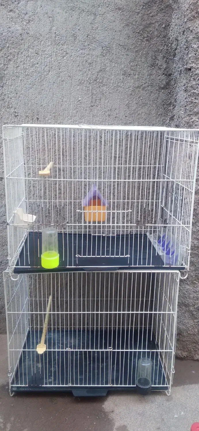 قفس پرنده|لوازم جانبی حیوانات|تربت جام, شهید مدرس|دیوار