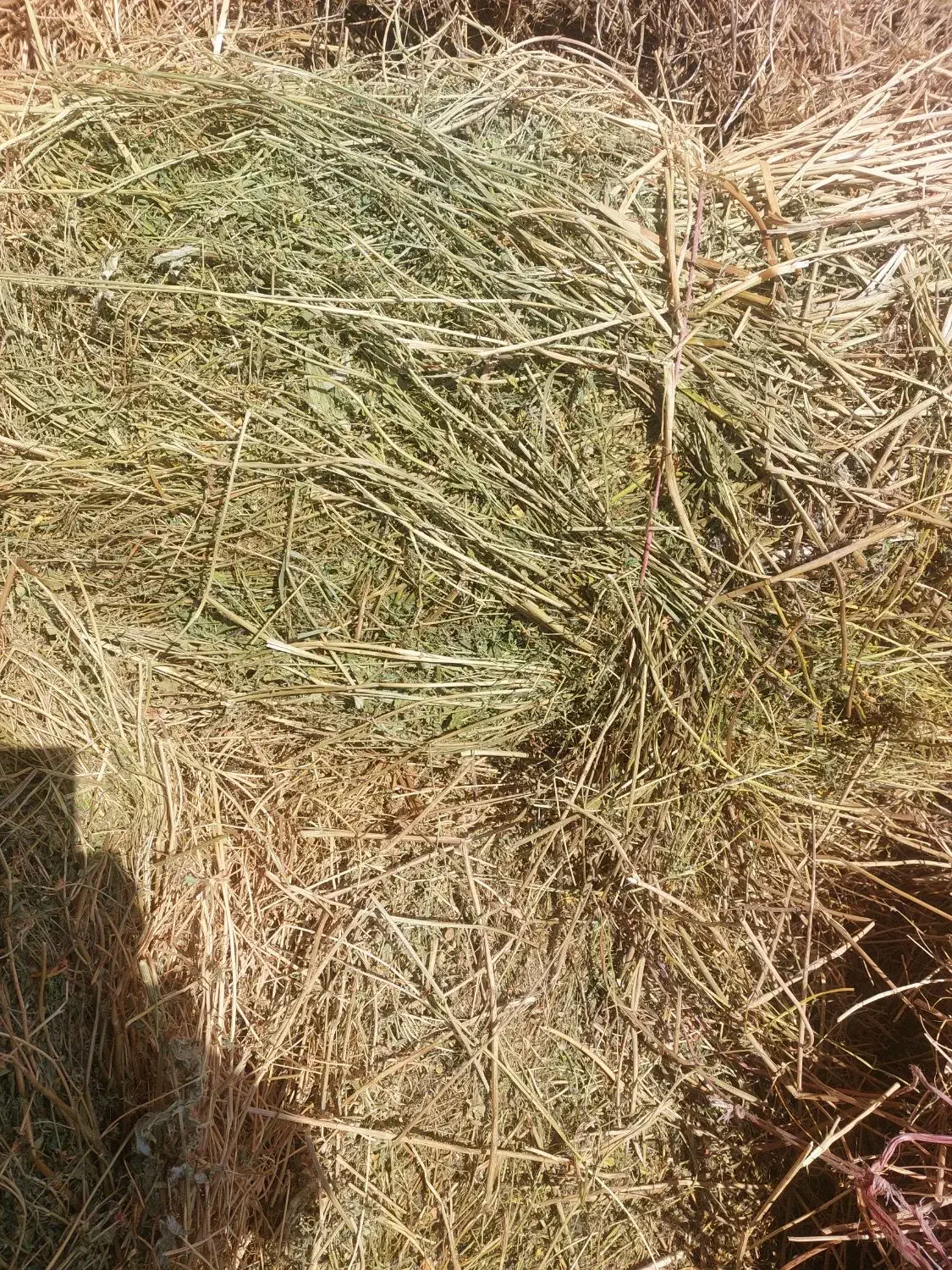 علف خشه ۱۵۰ بسته دستی|لوازم جانبی حیوانات|سراب, |دیوار