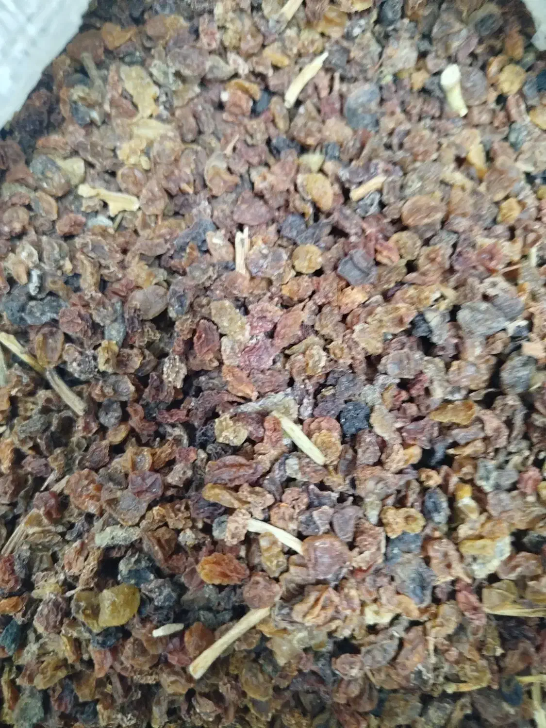 پخش عمده و جزیی کشمش آفتابی ، مویز ،|خوردنی و آشامیدنی|اهواز, منبع اب|دیوار