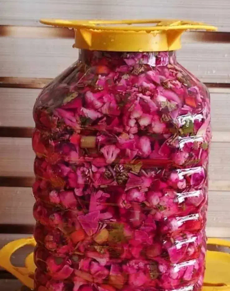 انواع و اقسام ترشی جات و سبزیجات وسالاد|خوردنی و آشامیدنی|فولادشهر, مسکن مهر فولادشهر|دیوار