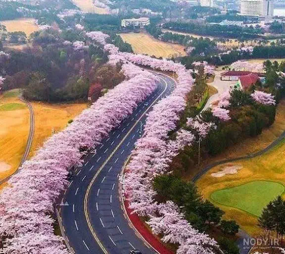 مشاوره اپلای کردن|خدمات آموزشی|بیرجند, |دیوار