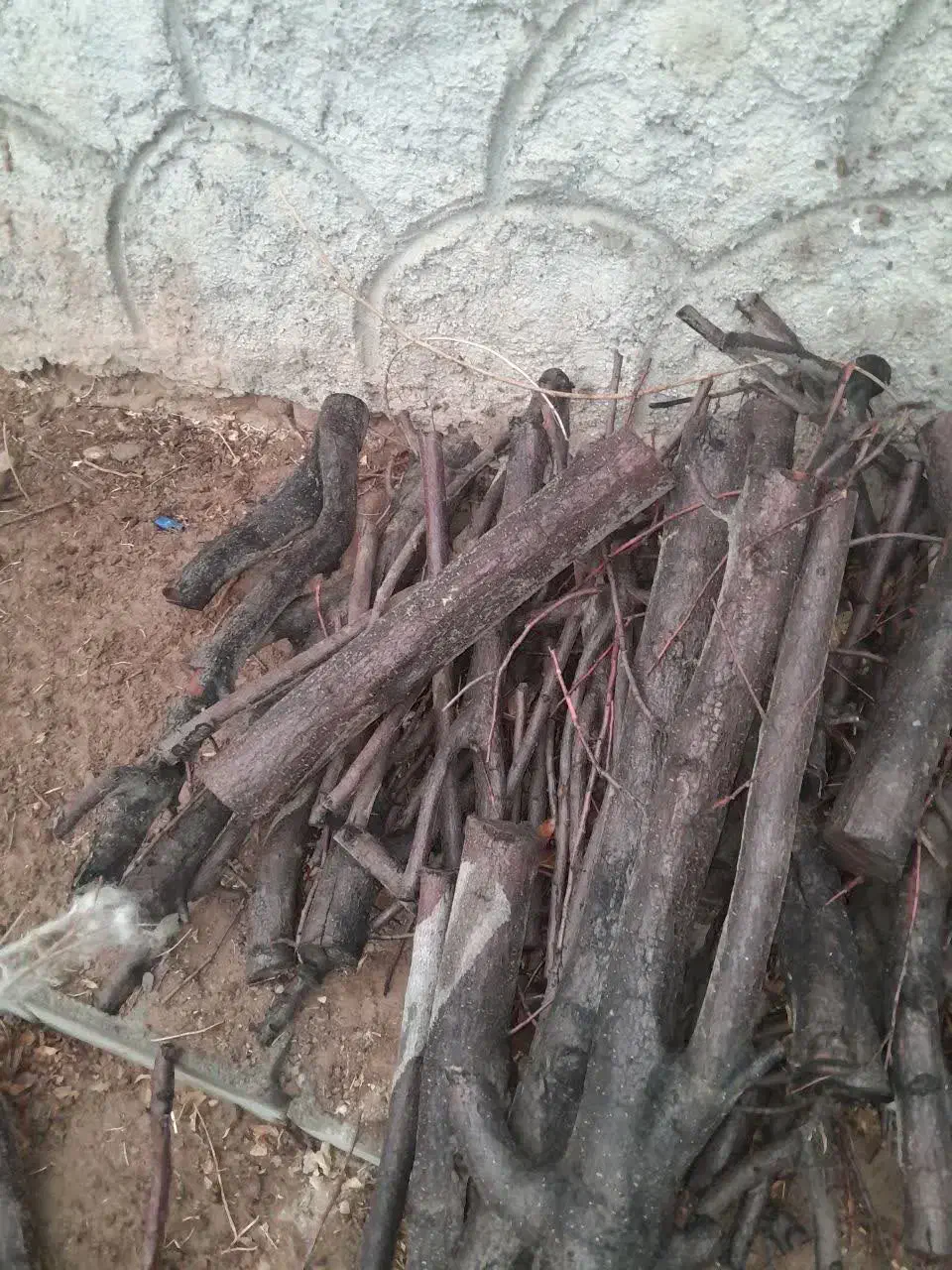 کنده شومینه ای و توتی|بخاری، هیتر، شومینه|مهریز, |دیوار