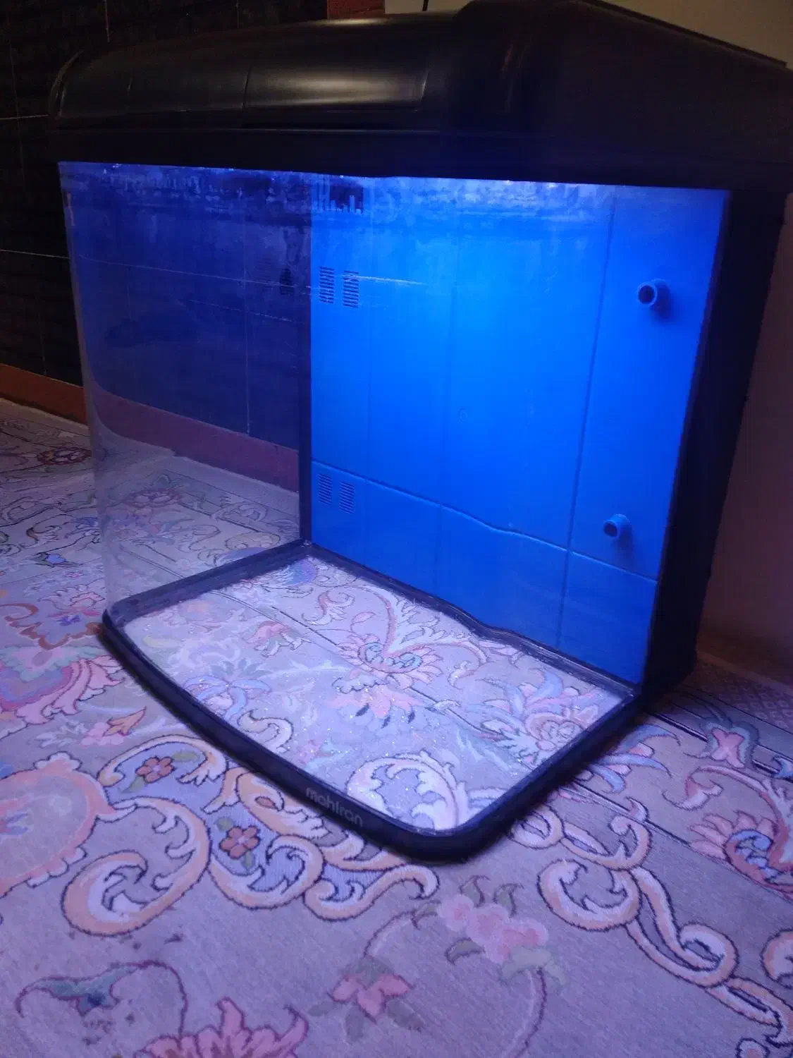 اکواریوم وسهره  کفتر|ماهی|نسیم‌شهر, |دیوار