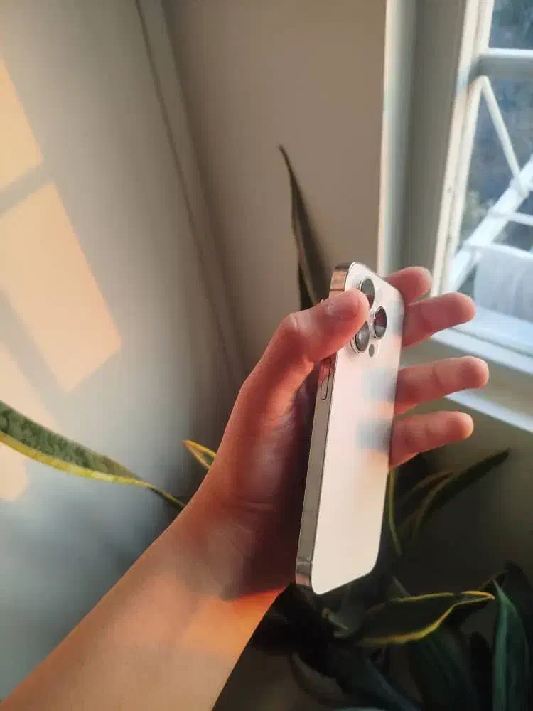 آیفون ۱۴ پرو|موبایل|تهران, تهرانپارس شرقی|دیوار