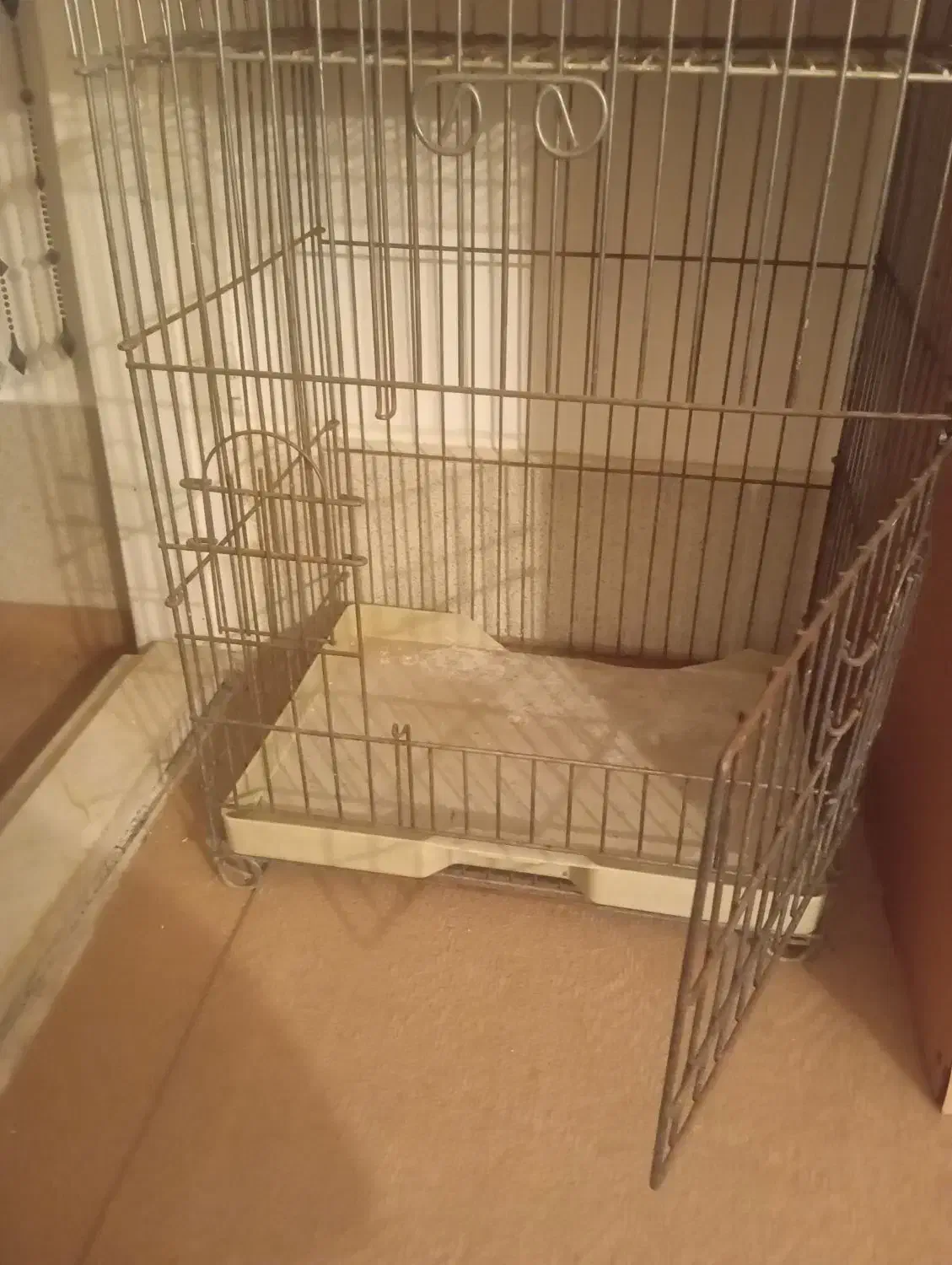 قفس|لوازم جانبی حیوانات|قم, تعویض پلاک|دیوار