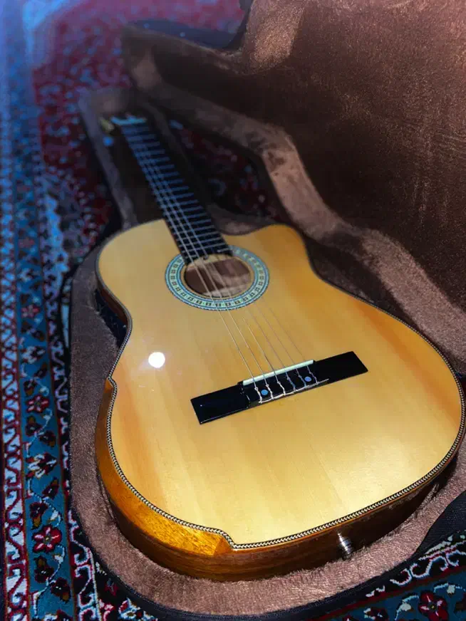 گیتار کلاریس پیکبدار کاتوی مخصوص اجرای زنده|گیتار، بیس، امپلیفایر|گنبد کاووس, |دیوار