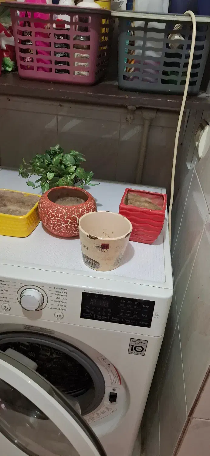 گلدان سفالی و فانتزی|گل و گیاه طبیعی|تهران, صد دستگاه|دیوار