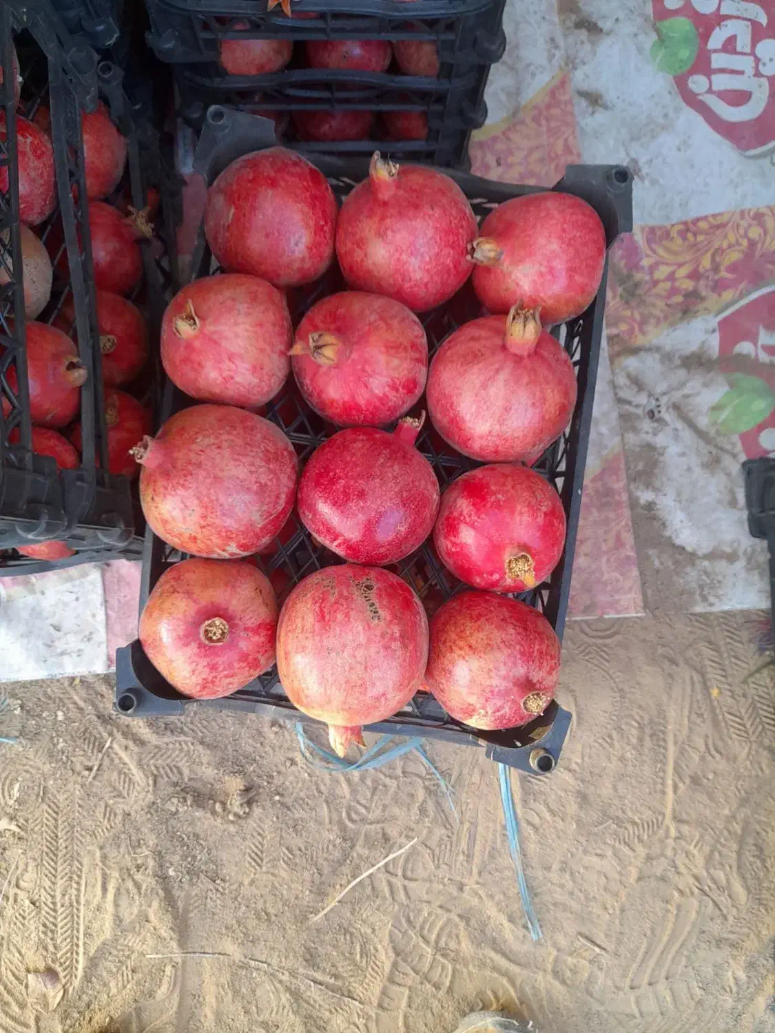 انار کاشمر|عمدهفروشی|کاشمر, |دیوار