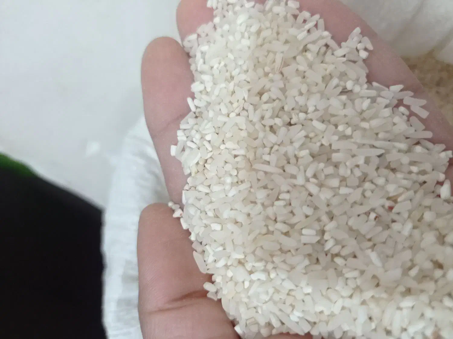 میان باری برنج فجر سوزنی امساله...خوشپخت|خوردنی و آشامیدنی|فاضل آباد, |دیوار