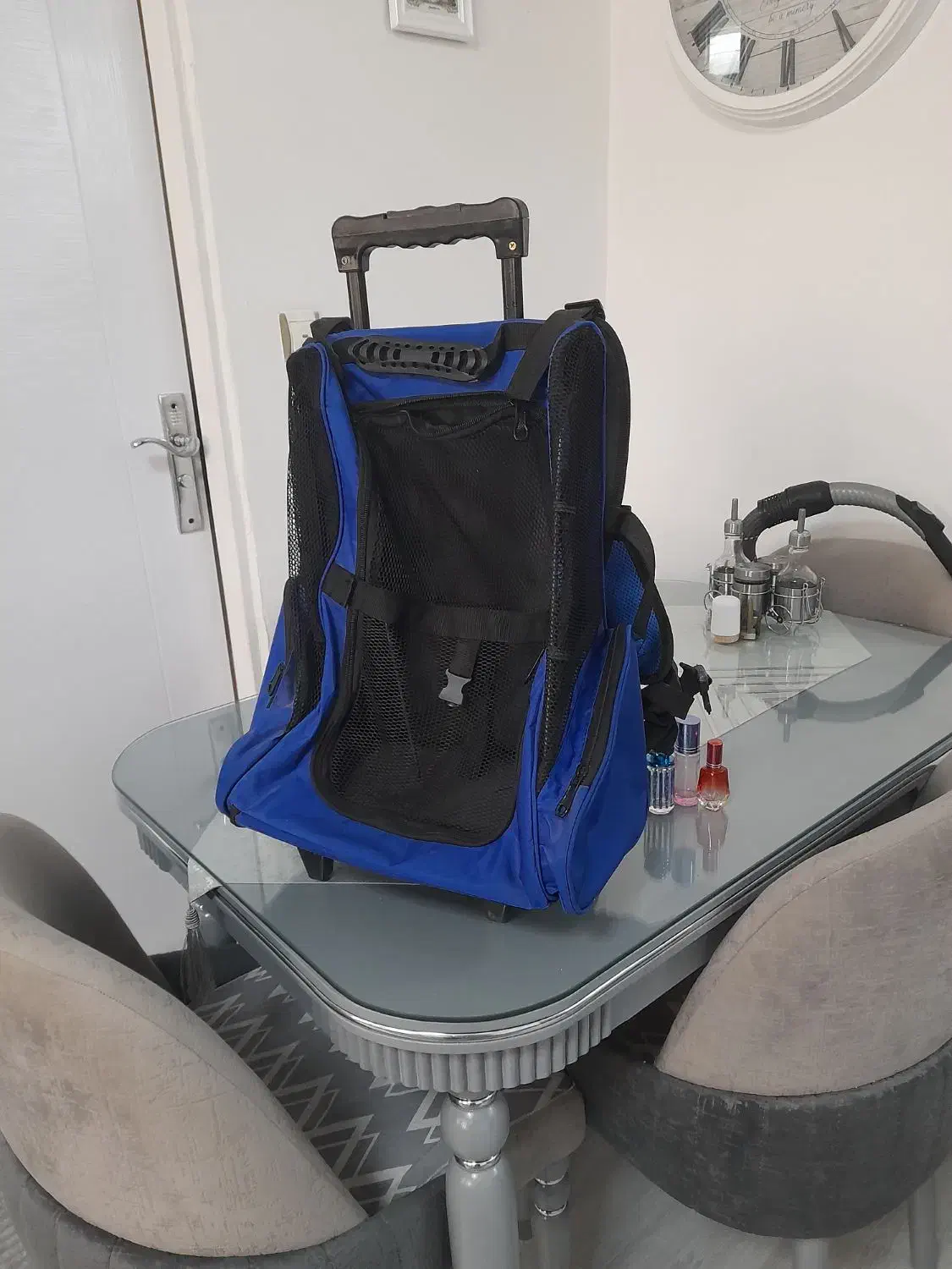 ترولی سگ|کیف، کفش، کمربند|رشت, جهاد|دیوار