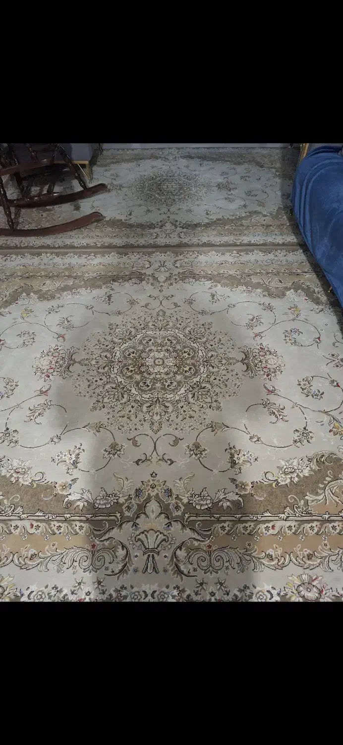 فرش ۶متری|فرش|قزوین, |دیوار