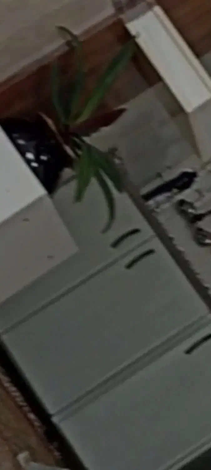 کابینت فلزی|آب‌چکان و نظم‌دهنده ظروف|دهگلان, |دیوار