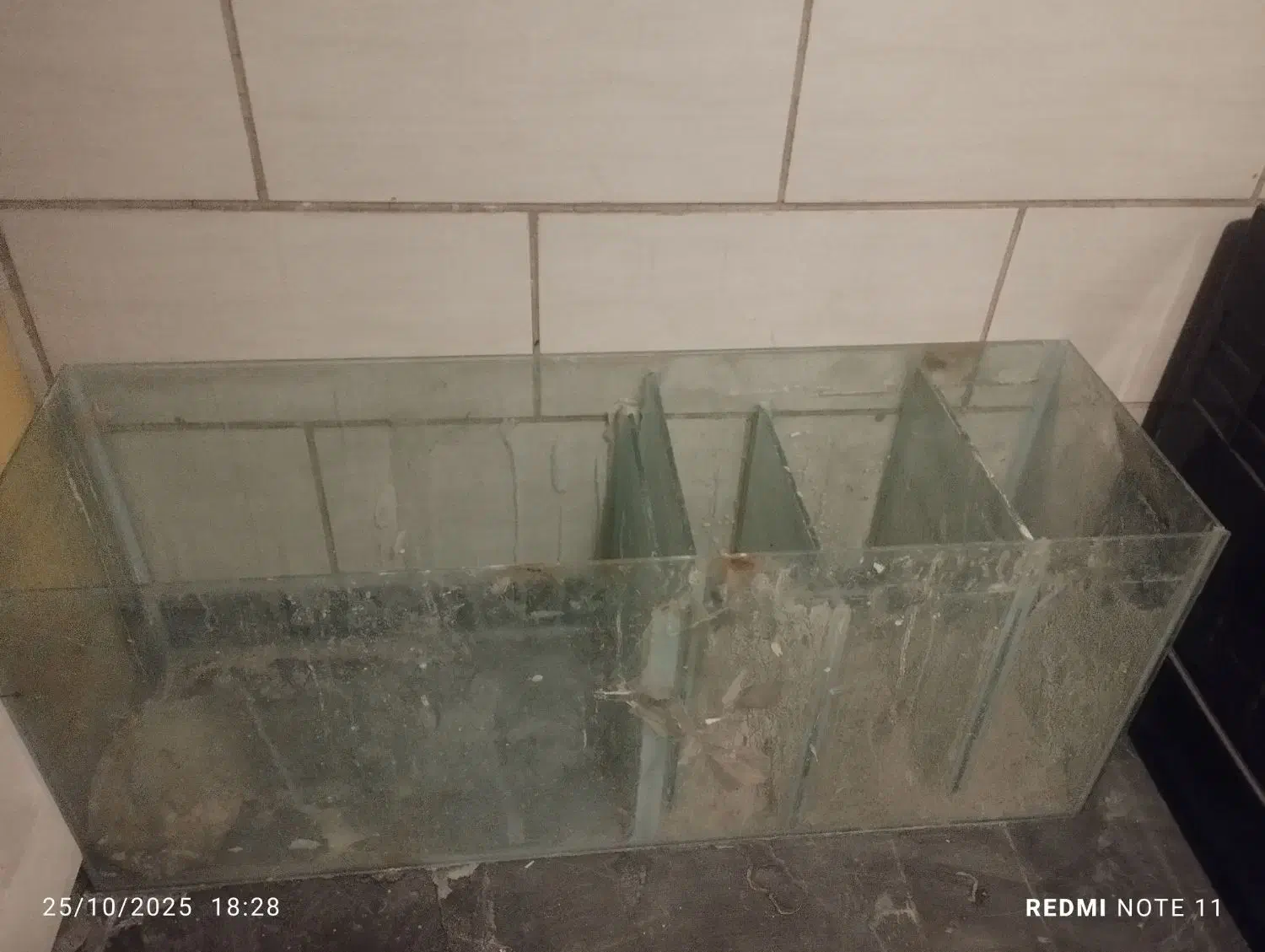 لوازم آکواریوم ماهی|ماهی|تهران, ایرانشهر|دیوار