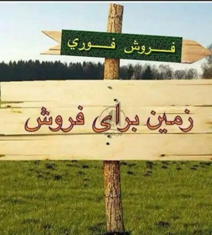 ۳۰ قصب زمین فروشی|فروش زمین و ملک کلنگی|نگار, |دیوار