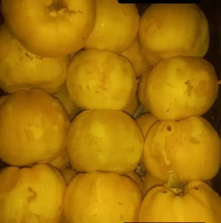 میوه به|خوردنی و آشامیدنی|برزک, |دیوار