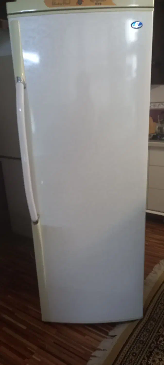 یخچال فریزر دوقلو|یخچال و فریزر|بروجن, |دیوار