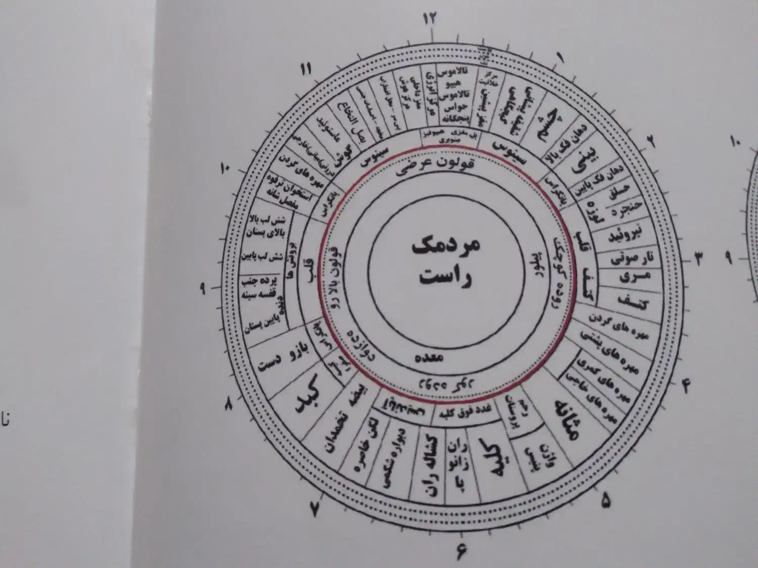 سرطان های ریه وکبد|خدمات آرایشگری و زیبایی|نیشابور, شهرک فرهنگیان|دیوار