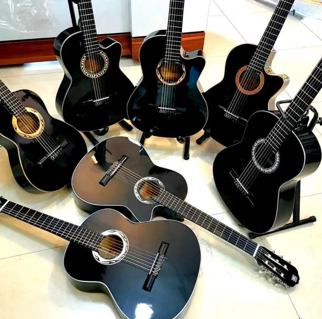 گیتار مول کاتوی c2|گیتار، بیس، امپلیفایر|تهران, شیخ هادی|دیوار