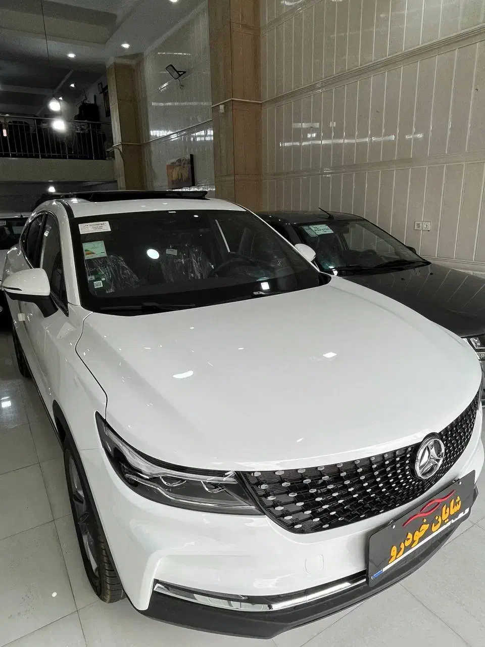 دیگنیتی و فیدلیتی / لاماری / هایما  تحویل آنی|خودرو سواری و وانت|کرج, مهرویلا جنوبی|دیوار