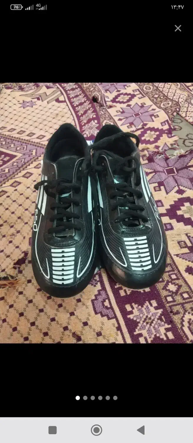 کفش استوک دار|کیف، کفش، کمربند|تایباد, |دیوار