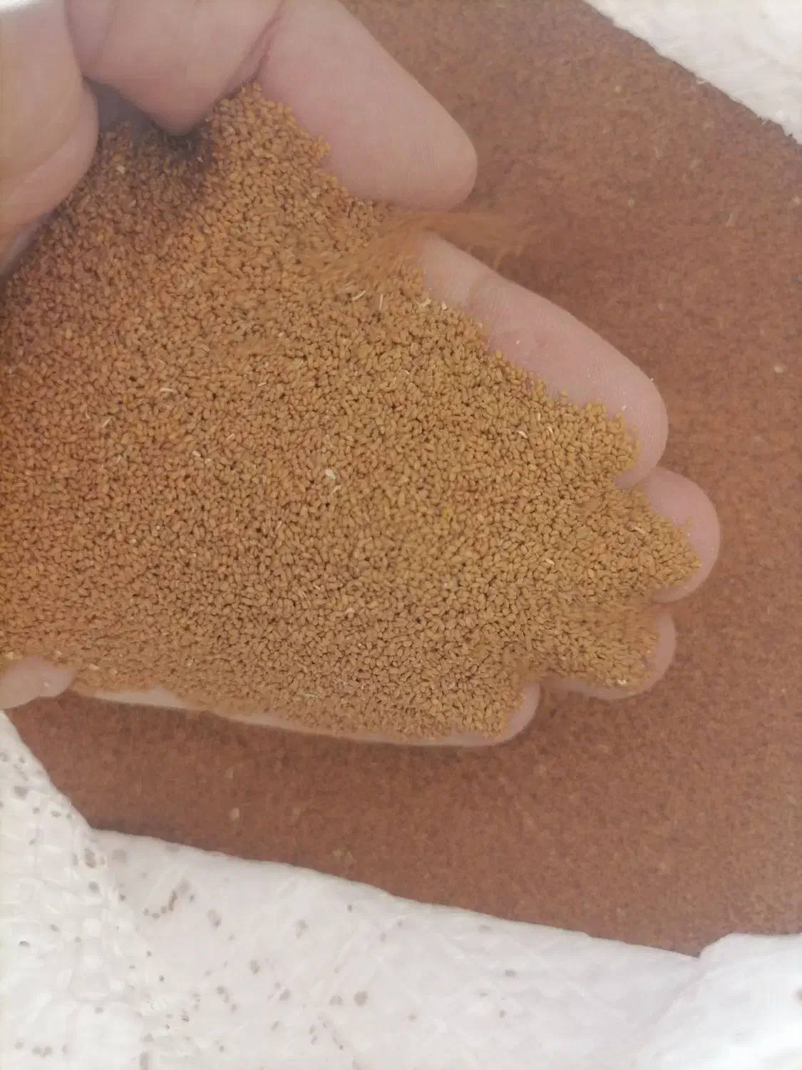 خاکشیر|عمده‌فروشی|مرودشت, ژیان|دیوار