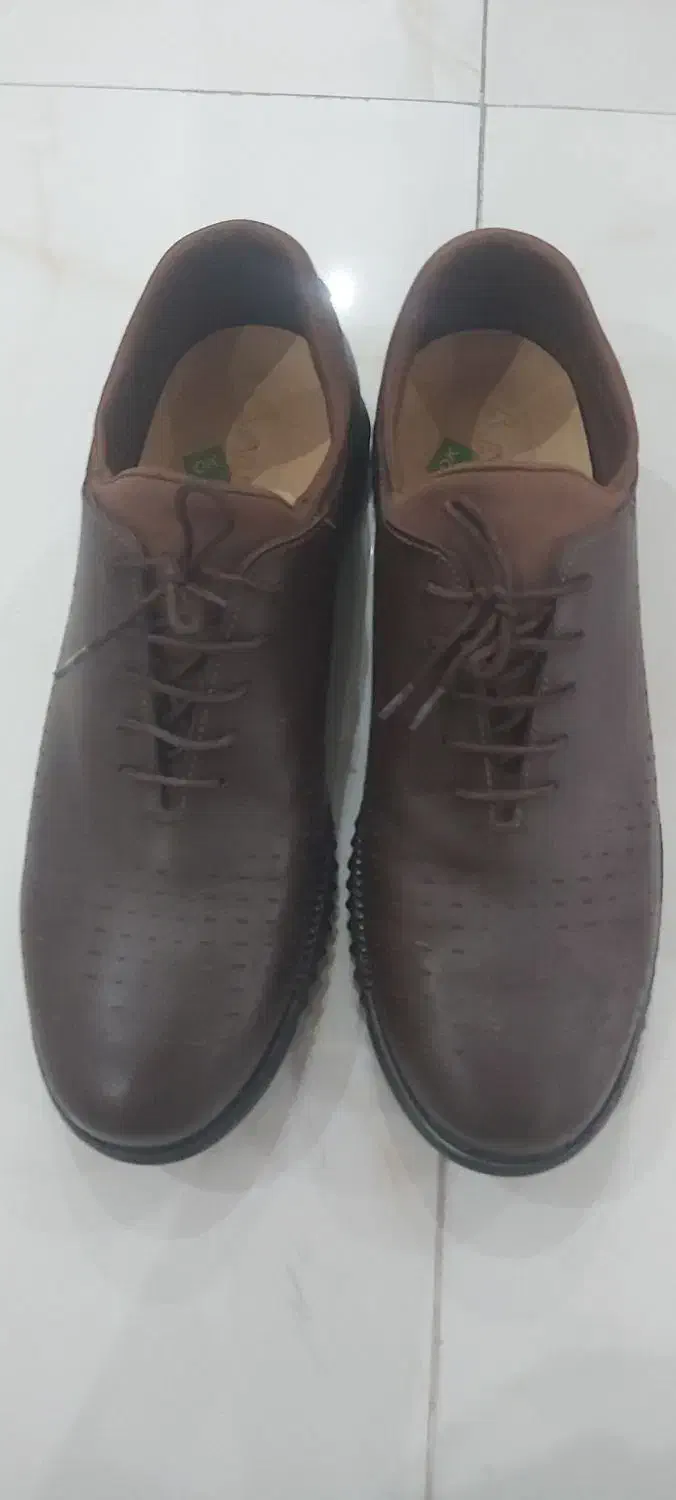 کفش مردانه|کیف، کفش، کمربند|تهران, امیریه|دیوار