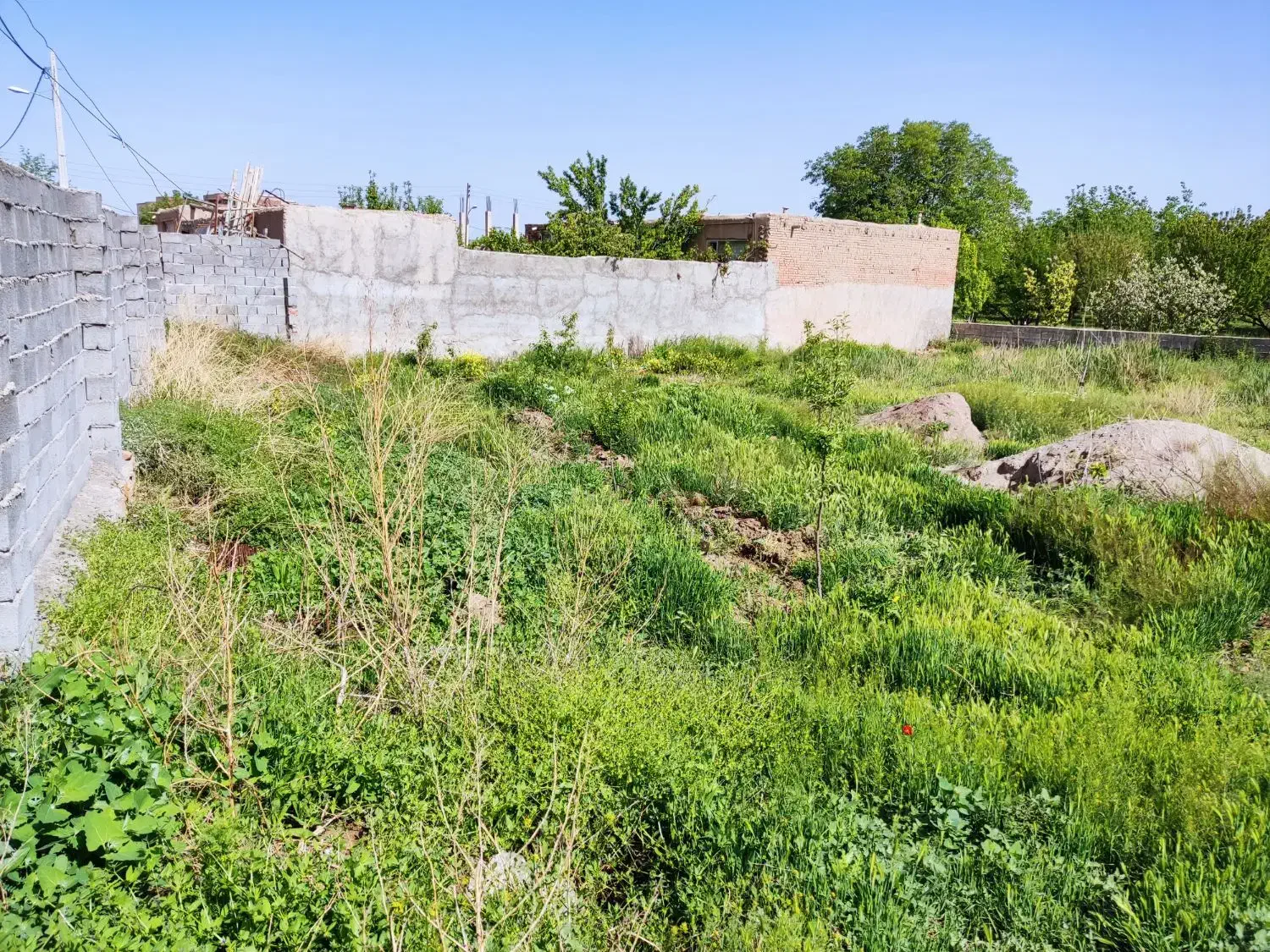 زمین مسکونی|فروش زمین و ملک کلنگی|عجب شیر, |دیوار