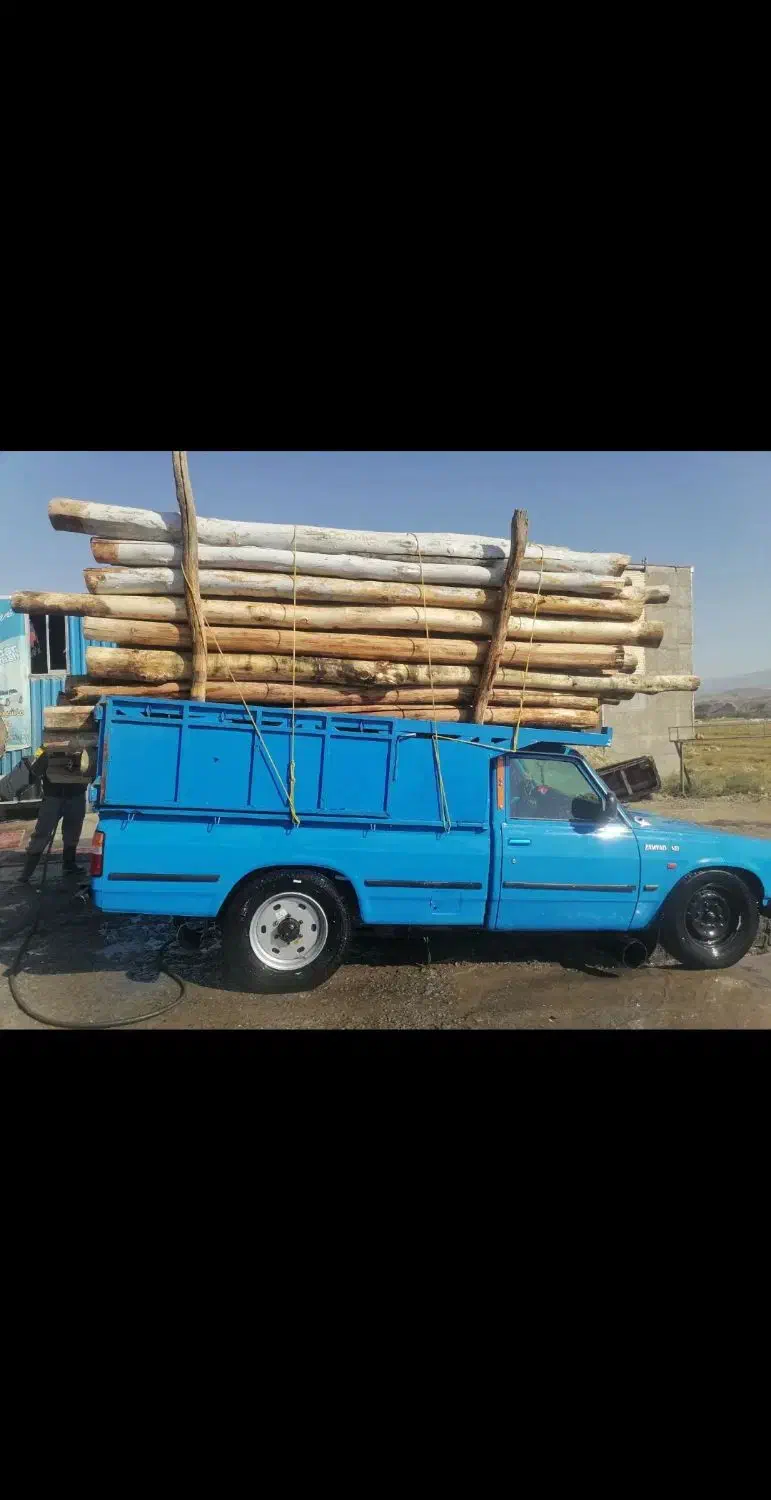 خرید چوب سقفی یاهمون دام تیری سالم وپوسیده|خدمات باغبانی و درختکاری|تاکستان, |دیوار