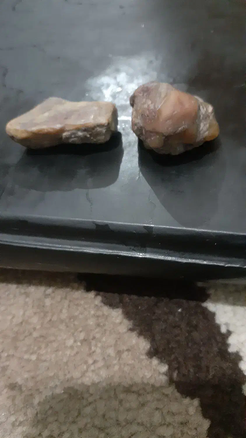 ۲ عدد کهربای اصل وزن حدودا۶ت۷گرم یکشجرگیلان|کلکسیون اشیاء عتیقه|بندر انزلی, سید آسیه|دیوار