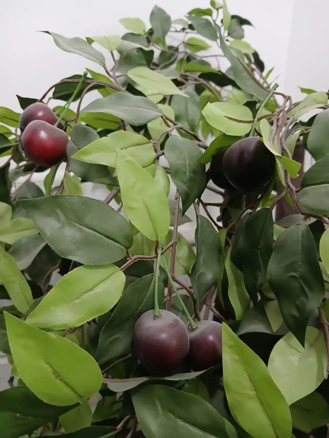 درخت مصنوعی|گل مصنوعی|قم, هنرستان|دیوار