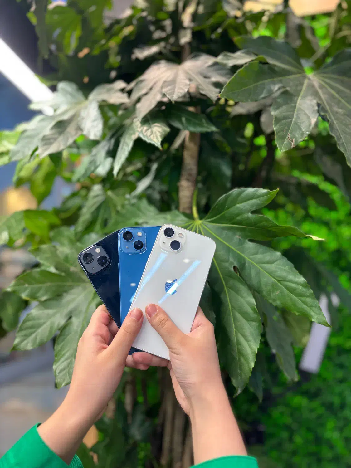 آیفون ۱۳ نرمال|موبایل|تهران, شهرک پردیسان|دیوار