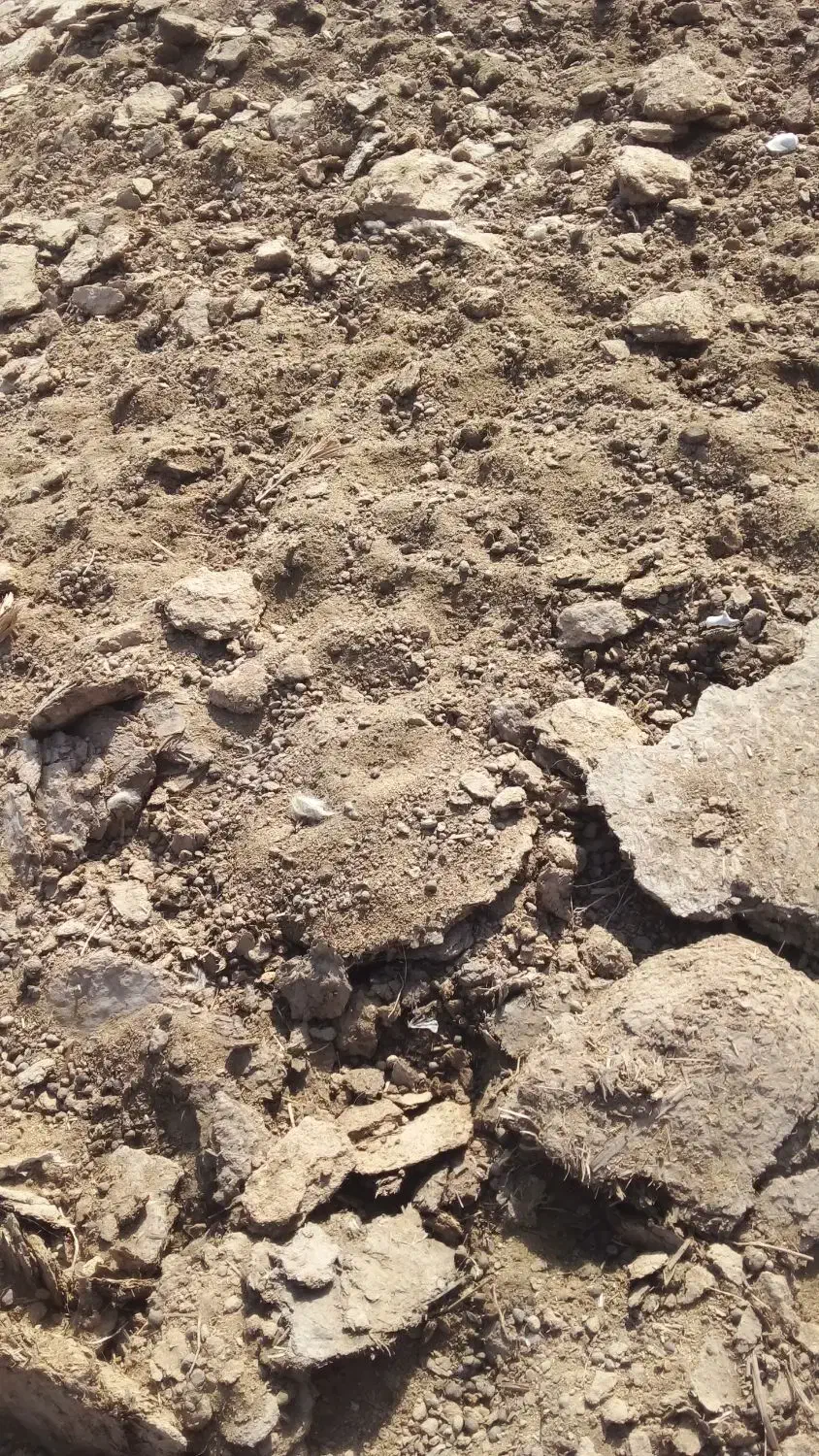 کودحیوانی|لوازم جانبی حیوانات|بمپور, |دیوار