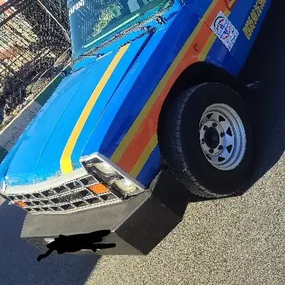 یدکش جرثقیل خودروبر امداد خودرو چرخگیر شبانه روزی|خدمات حمل و نقل|کرج, گلشهر|دیوار