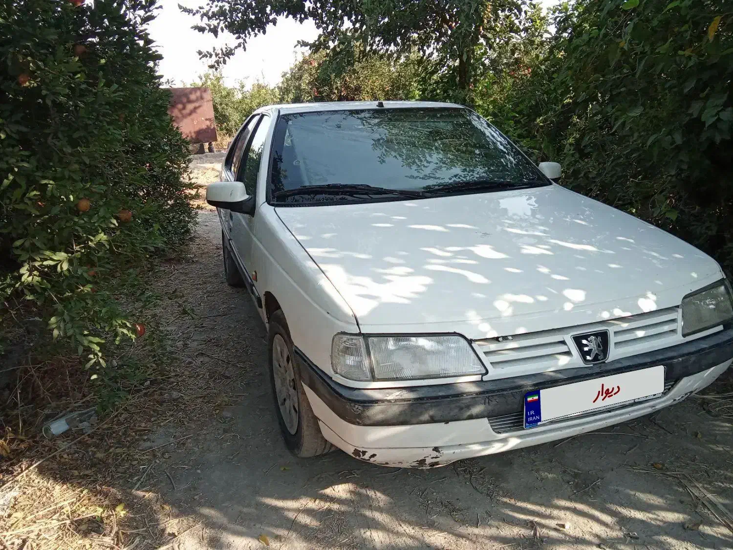 پژو ۲۰۰۰ رنگ سفید مدل ۷۳ بکر|خودرو سواری و وانت|کوه چنار, |دیوار