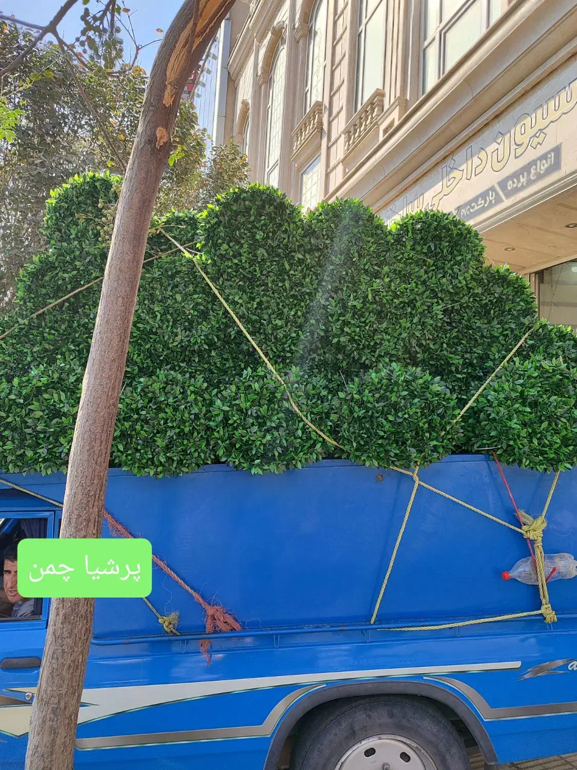 فنس چمن و فنس برگی و گرینوال|گل مصنوعی|قم, حنیف نژاد|دیوار