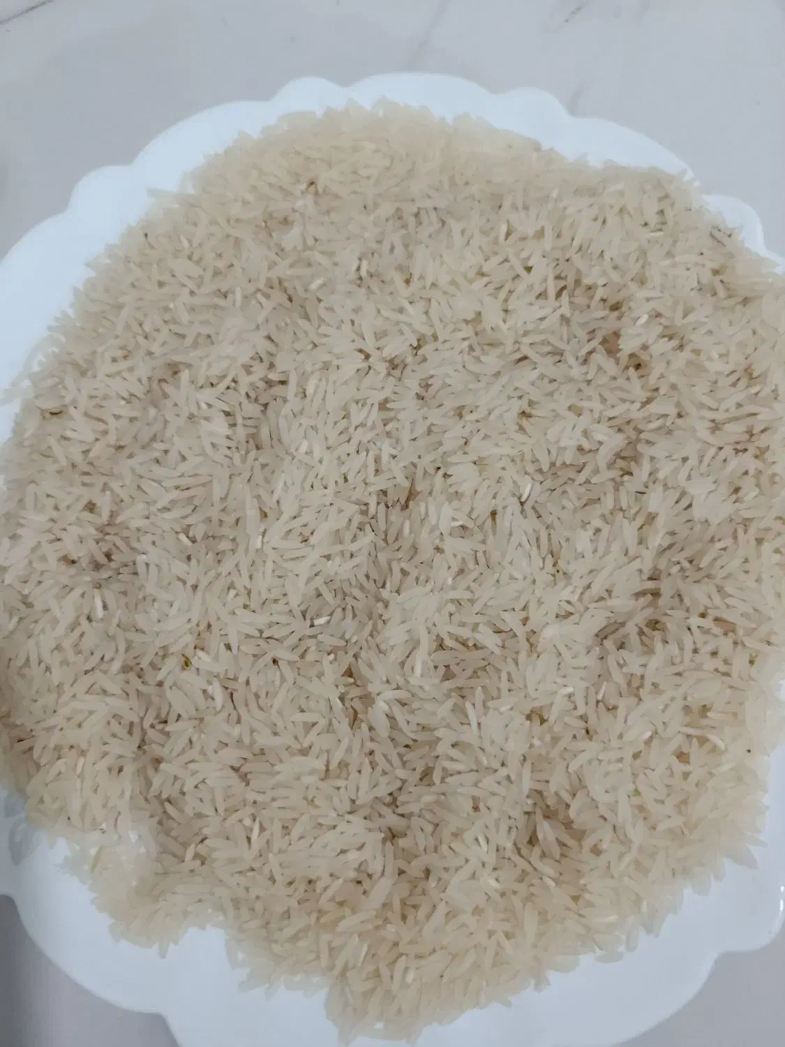 برنج فجر سوزنی درجه یک|خوردنی و آشامیدنی|گرگان, |دیوار