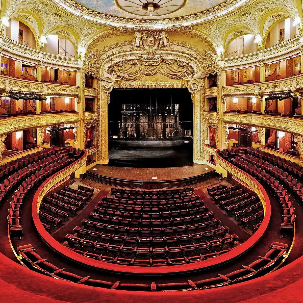 آموزش سلفژ و تئوری موسیقی (چطور کوک بخونیم)|خدمات آموزشی|کرج, گوهردشت|دیوار