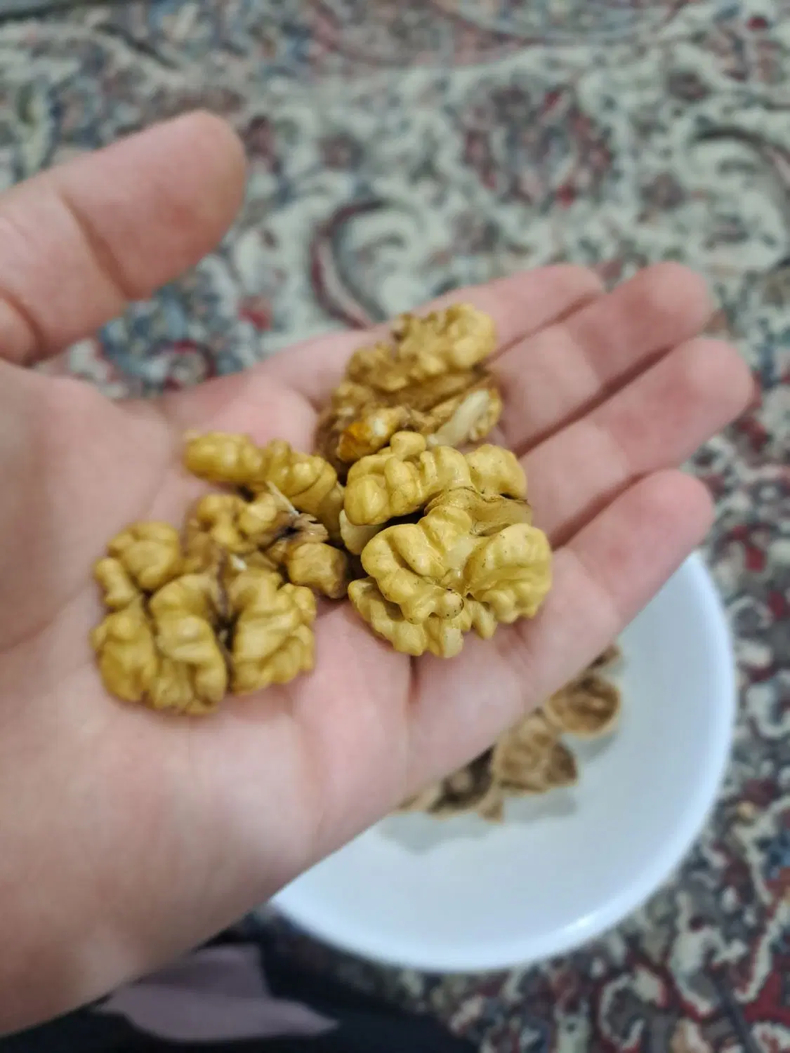 گردو|خوردنی و آشامیدنی|یاسوج, |دیوار