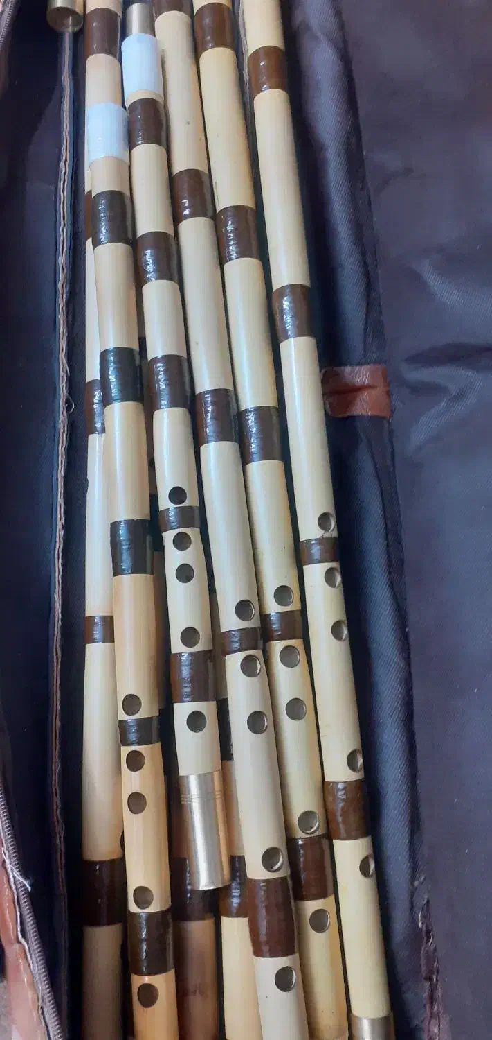 خریدنی حرفه ای بدون واسطه درداخل کارگاه|سازهای بادی|شاهینشهر, گزبرخوار|دیوار