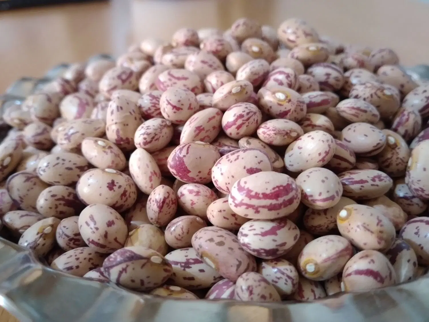 حبوبات زود پز|خوردنی و آشامیدنی|تهران, زمزم|دیوار